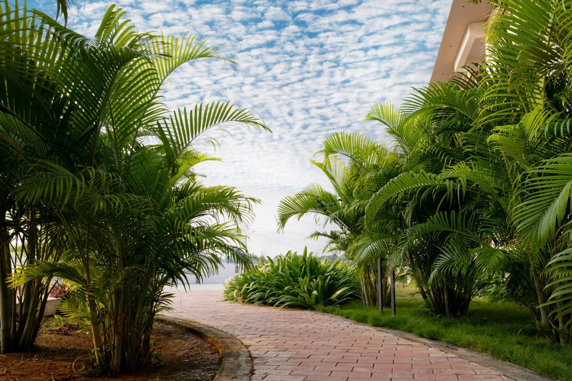 Palm Regal Resort Gopālpur Exterior foto